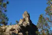 Buzzard's Roost rock formation in a Santa Cruz County park, framed by pine trees against a blue sky