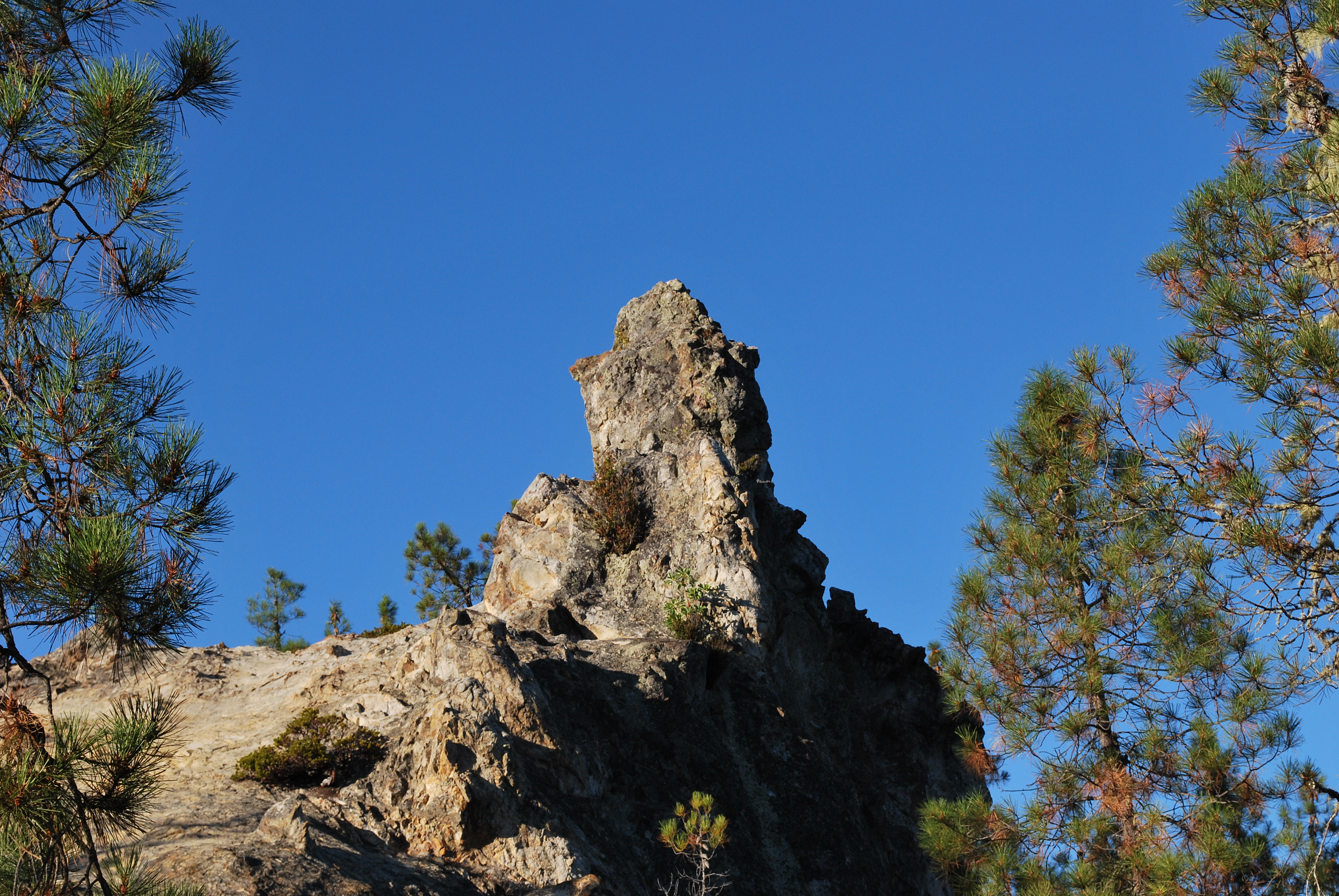Buzzard's Roost