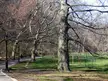 Calisthenics athlete in a dark jacket and light pants walking on a park path past a large leafless tree