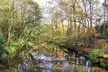 Clingendael Park autumn landscape with a still pond reflecting colorful trees and a small wooden shed