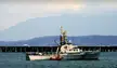 Guardacostas coast guard boat with a small red boat by a pier and mountains