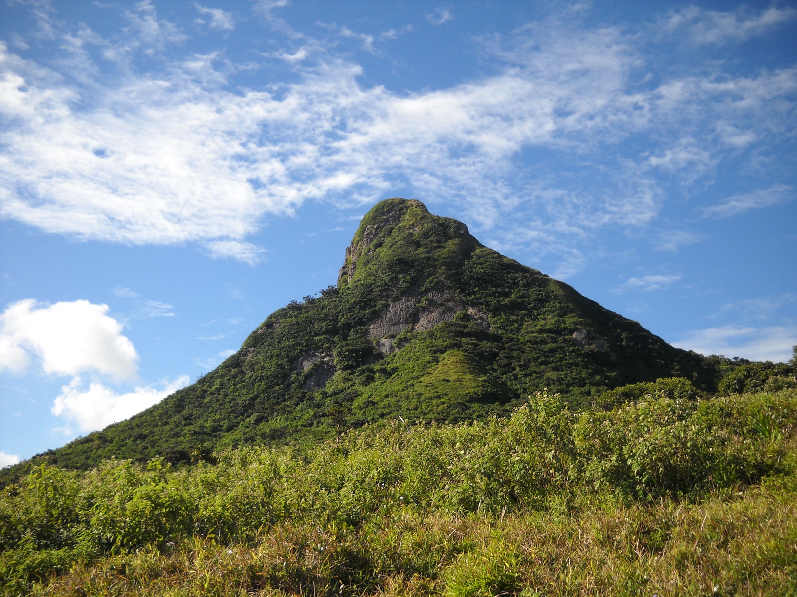 Subfossils of this parrot have been found in caves on Le Pouce mountain