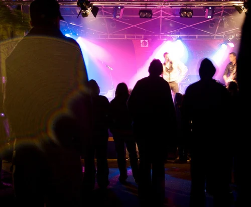 dizzy bee konzert