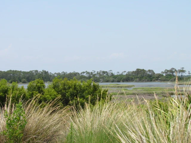 The marshes at Kiawah Island