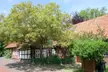 The house in which Busch was born in Wiedensahl, featuring a half-timbered brick house and a large leafy tree.