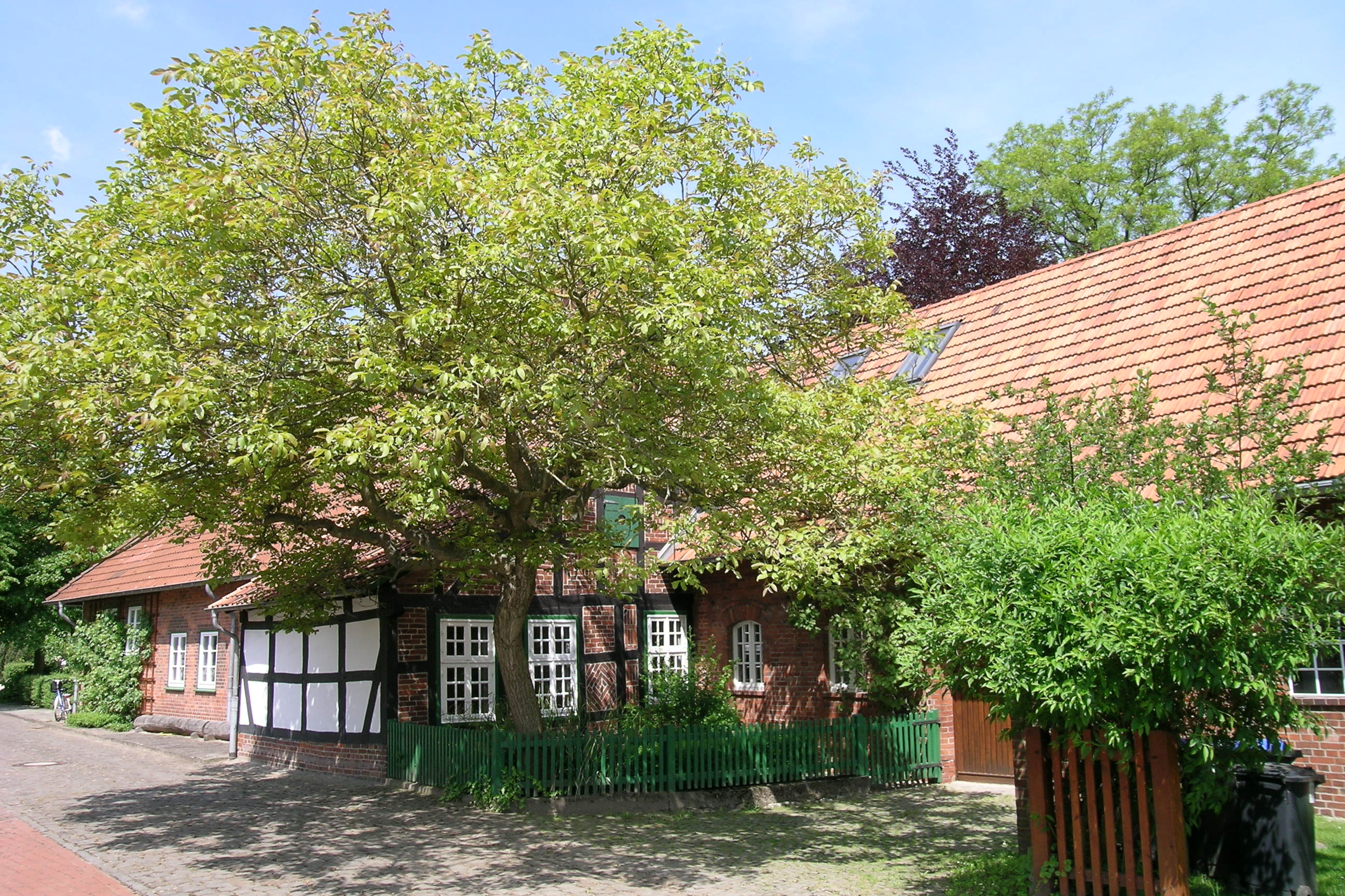 The house in which Busch was born, Wiedensahl, 2008