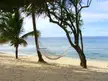 White rope hammock strung between palm trees on a tropical sandy beach overlooking a calm blue ocean