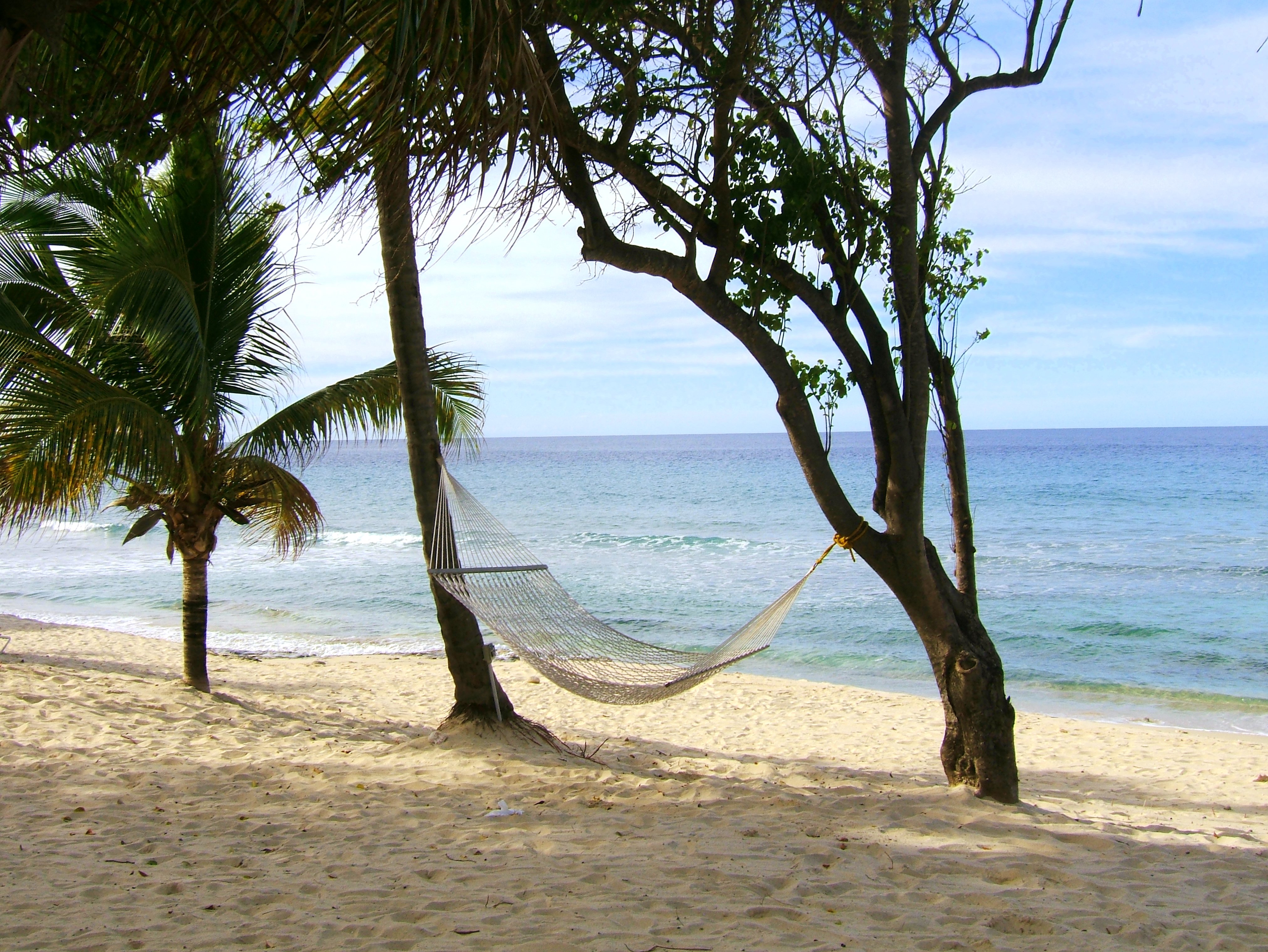 Hammock