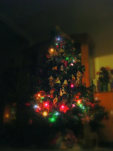 2010-12-14 yolka 015