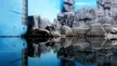 A cute seal lying down on rocks beside a pool of water in an aquarium exhibit.