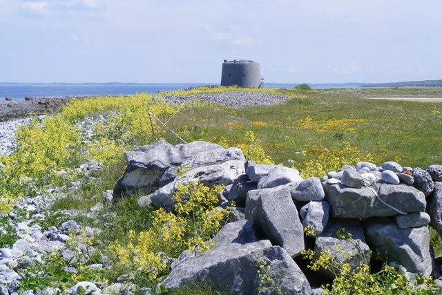 Location of the Martello Tower near the shoreline of Aughinish