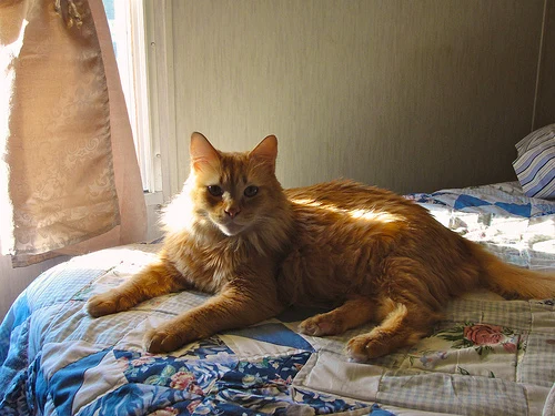 DSC01497