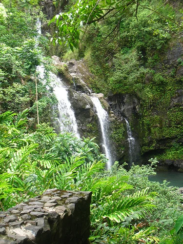 Waterfall on Road to Hana