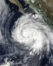 Mexicana