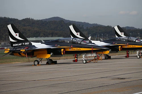Air Show (58)