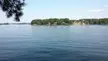 Lake Hamilton and Lake Catherine with a forested shoreline, houses, and a pine branch in the foreground