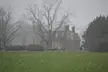 Wilton brick house with chimneys behind bare trees in a foggy grassy field