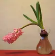 A pink hyacinth flower in a glass vase leaning heavily to the left, a cursed stock photo.