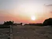 Sunset at Eco Mtn featuring a wide open field with low bushes and a small structure under a glowing sky