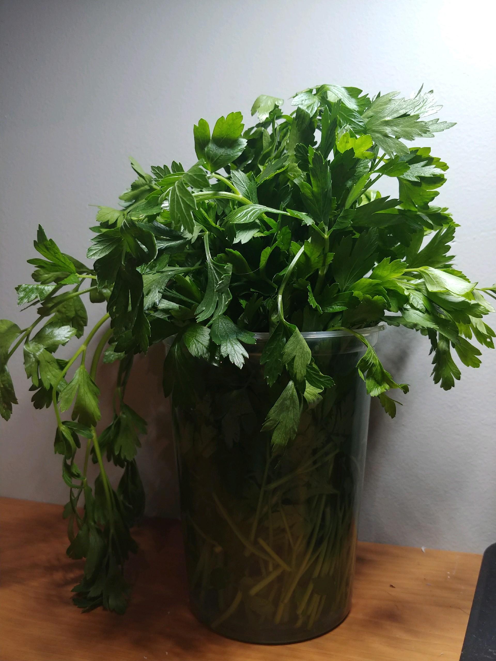 Parsley Leaves