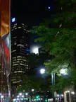 Denver Moon: a tall skyscraper with lit windows, green trees, and street lights in a night city scene