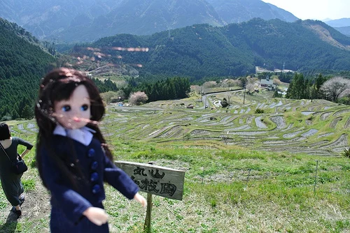 リカちゃん　丸山千枚田