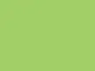 A solid, light green aesthetic wallpaper for desktop and phone.