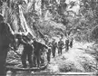 Amphibious operations involving the United States