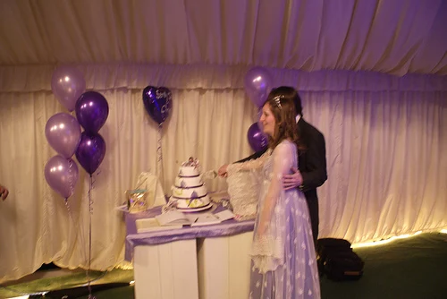 Cake Cutting