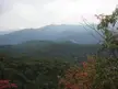 Tropical and subtropical moist broadleaf forests