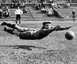 Swedish football goalkeeper
