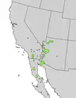 Nolina bigelovii distribution map showing green highlighted regions across Southwestern North America.