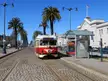 Red and cream San Francisco Municipal Railway streetcar at a cobblestone station with palm trees and blue lamp posts