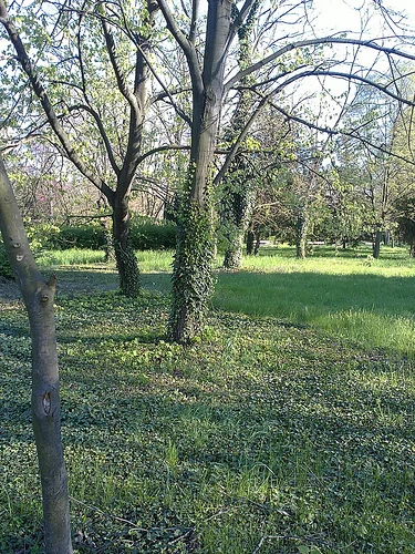 17042013163