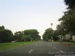California landscape of a wide asphalt road in Los Angeles County lined with lush green trees and palm trees