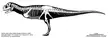 Abelisauridae