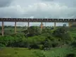 Freight train crossing a high concrete bridge over a lush green tropical valley in Açailândia, Brazil