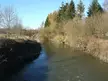 Dijle river near St Joris Weert flowing through a landscape of bare and evergreen trees under a clear blue sky