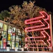 Red neon sculpture in front of a modern building with colorful glass panels and palm trees at night