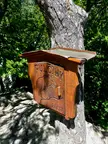 Wooden sign with a bear carving and text 'PUČINY 2007' attached to a tree in a forest