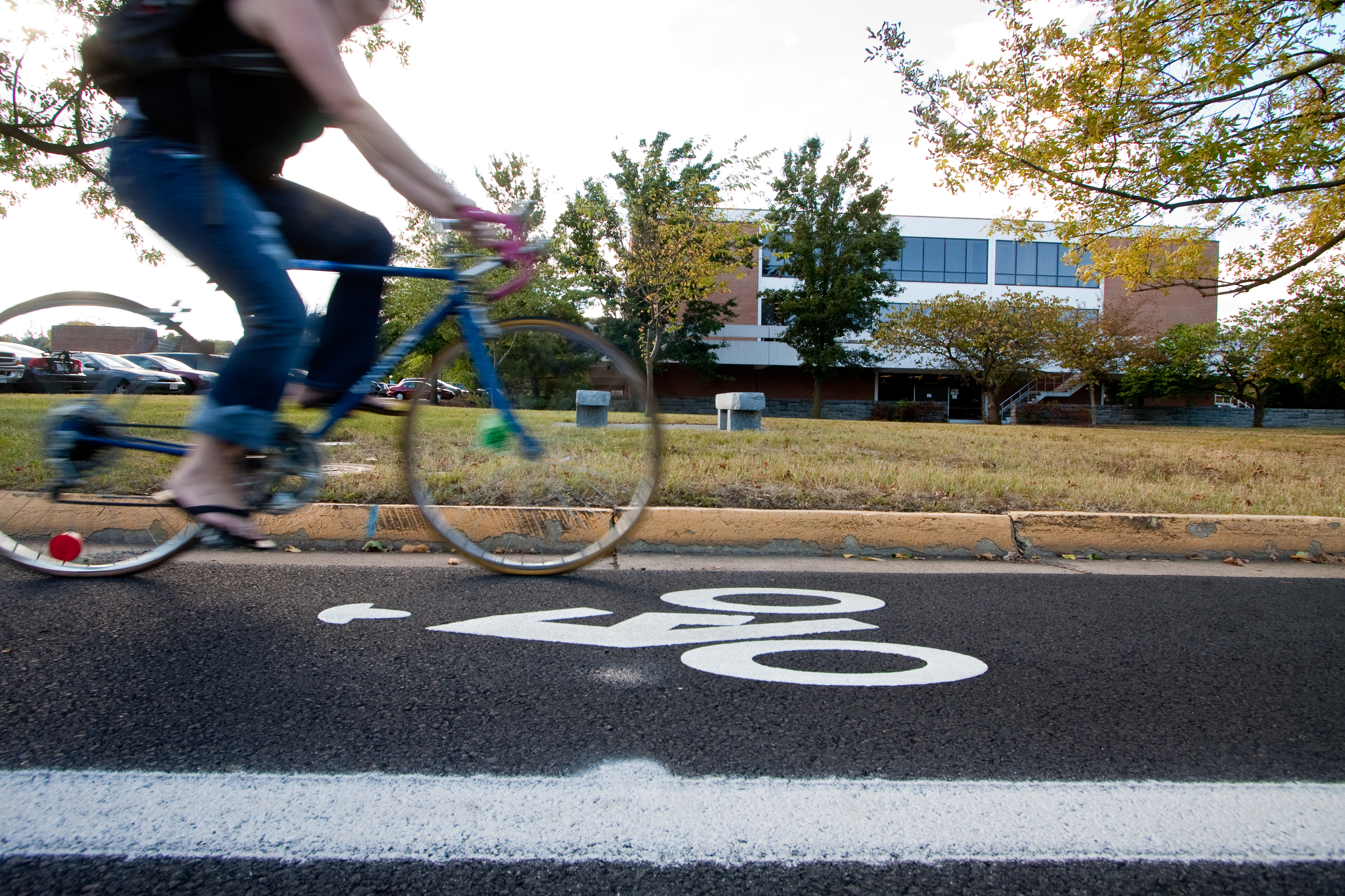 Bicycle Lane on Eastern Mennonite University Campus