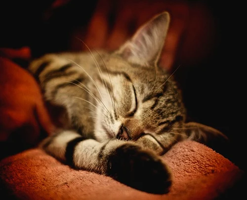 2011-09-12_10-00-00