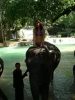 Asian woman in a purple bikini sitting on an elephant in a tropical pool with a man