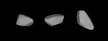 Three grey 3D models of asteroid 614 Pia against a black background