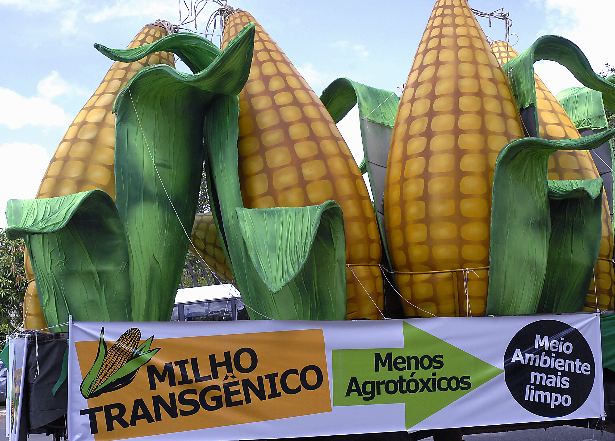 Brasilia, 2007: Protesters call for liberation from transgenic maize.