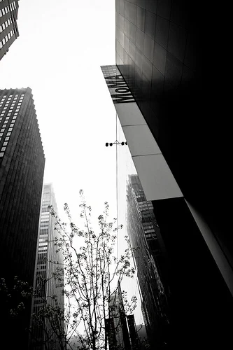 Moma