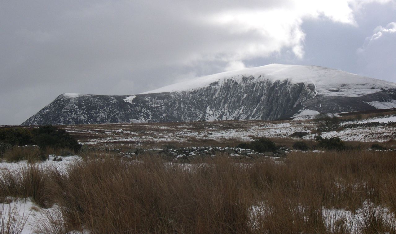 Mynydd Mawr from the north, showing the 'elephant's' head and back
