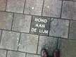 A close-up, top-down view of brown leather shoes on an Amsterdam sidewalk next to a 'HOND AAN DE LIJN' sign.