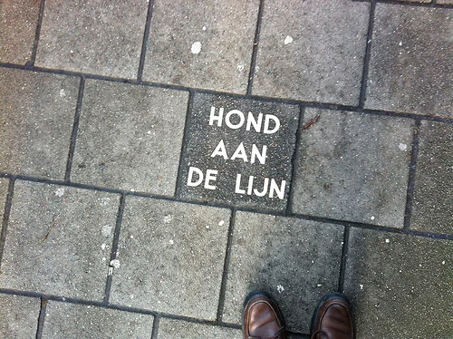 Amsterdam Sidewalk Signs - 4
