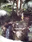 Buddha statue playing a flute by a waterfall in a lush garden with palm leaves and a plaque